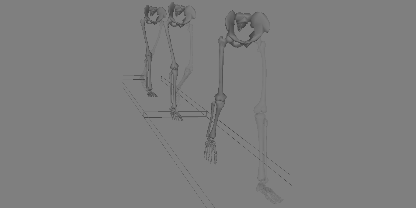 Lower half of a human skeleton walking along a pencil-sketched pathway